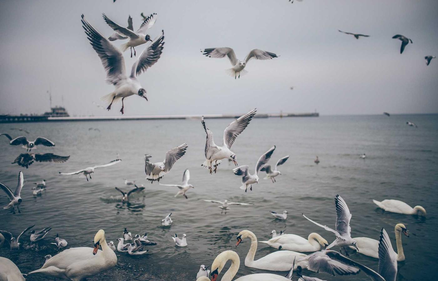 Фото клиента Михаил и Елена