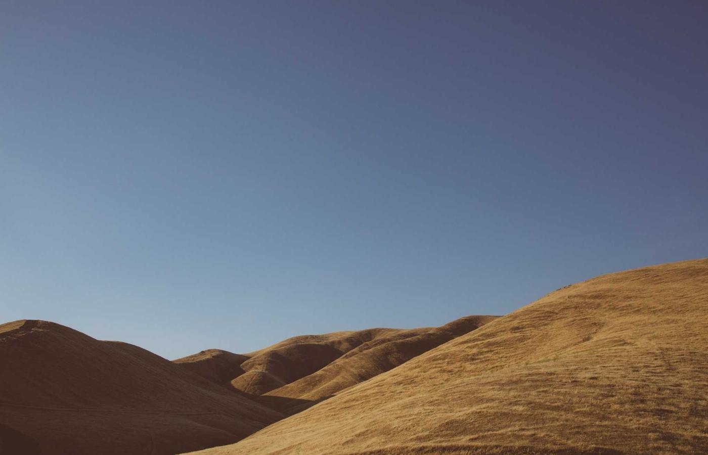 Свадебная фотосессия