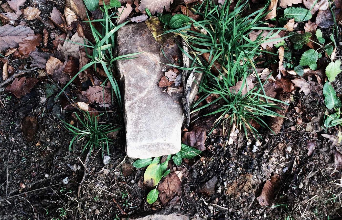 Фотограф с камерой делает снимок